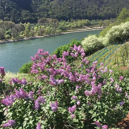 Szálloda Berg's Backpacker