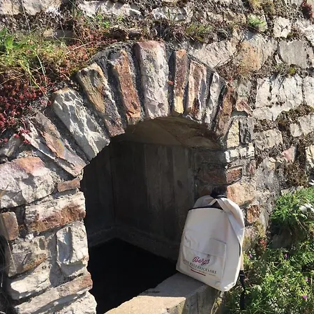 Berg's Backpacker * Rüdesheim am Rhein