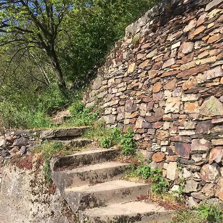 Szálloda Berg's Backpacker