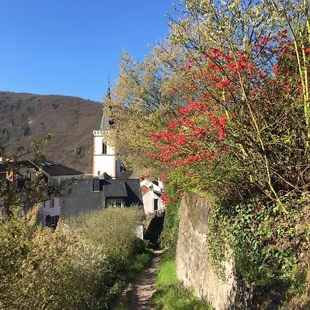 Szálloda Berg's Backpacker Rüdesheim am Rhein