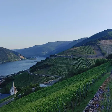 Berg's Backpacker Szálloda Rüdesheim am Rhein