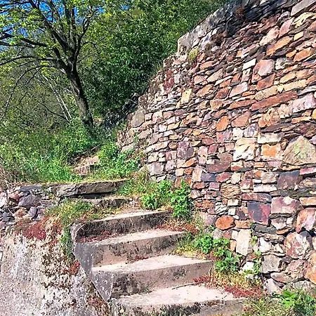 Berg's Backpacker Ruedesheim am Rhein