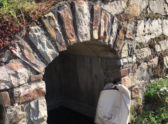 Berg's Backpacker * Ruedesheim am Rhein