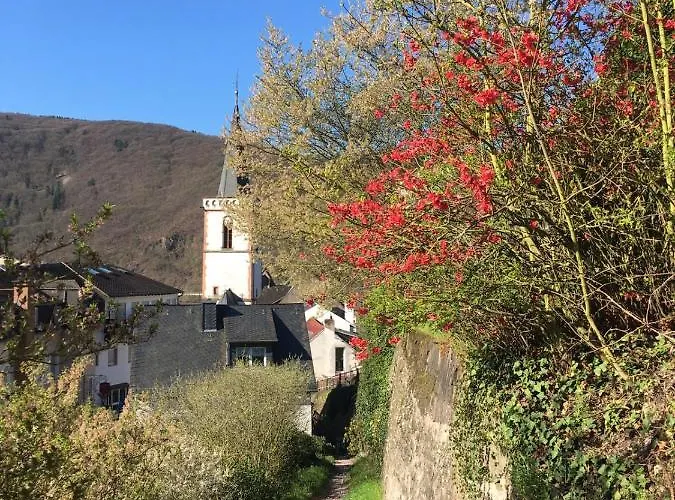Hotel Berg's Backpacker Ruedesheim am Rhein