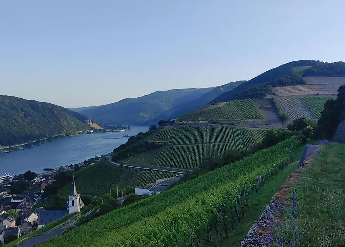 Berg's Backpacker Hotel Ruedesheim am Rhein